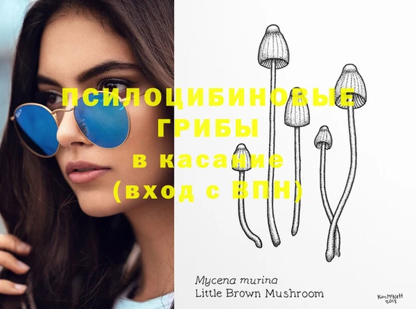прущая мука Алексин