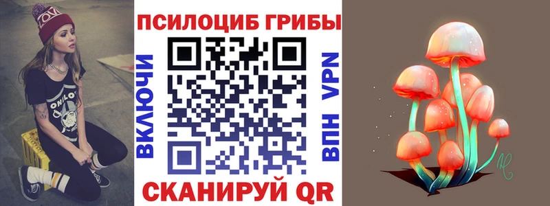 Галлюциногенные грибы Cubensis  наркотики  Дмитриев 